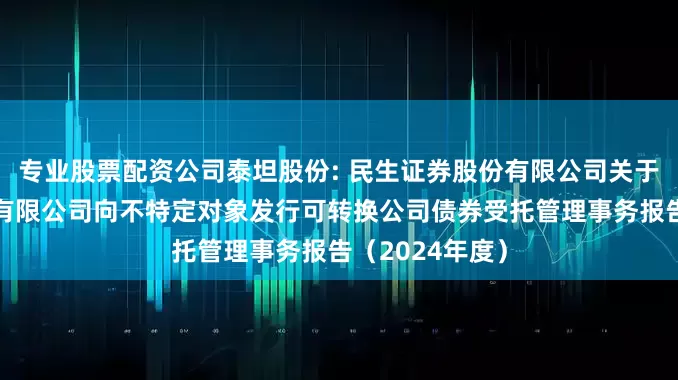专业股票配资公司泰坦股份: 民生证券股份有限公司关于浙江泰坦股份有限公司向不特定对象发行可转换公司债券受托管理事务报告（2024年度）