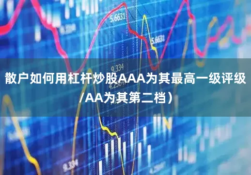 散户如何用杠杆炒股AAA为其最高一级评级/AA为其第二档）